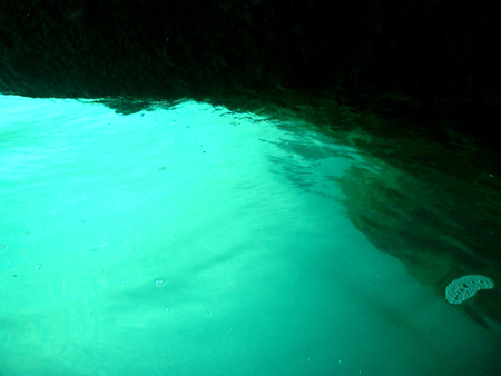 c0122670_21593641.jpg