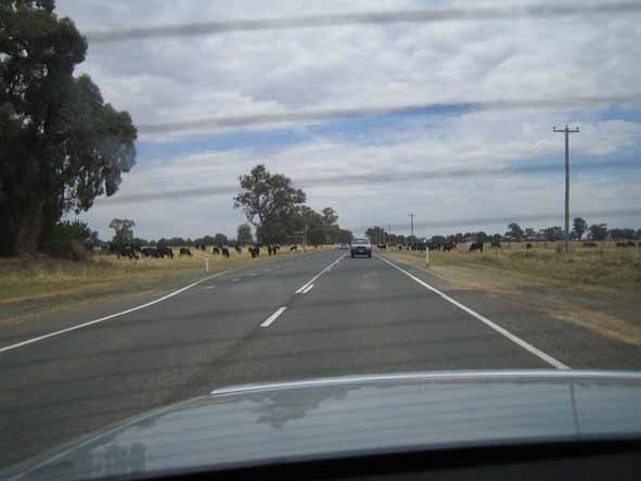 c0160778_2253319.jpg