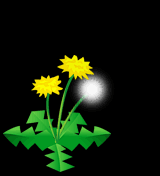 f0175279_2115246.gif