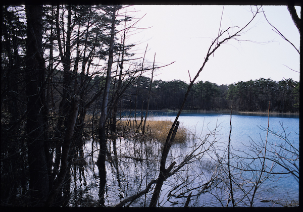 a0053783_9474643.jpg