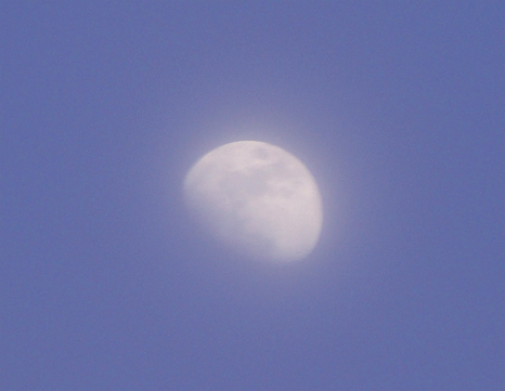 c0035386_23592688.jpg