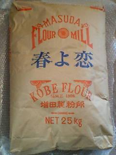 f0196887_831390.jpg
