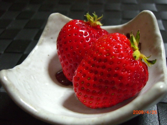 f0201488_003776.jpg