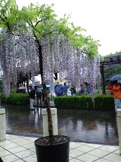 b0090890_17193286.jpg