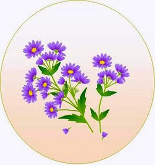 e0143690_1552829.jpg
