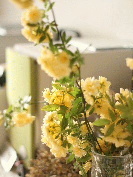 d0100192_17111032.gif