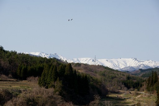 f0064192_6232641.jpg