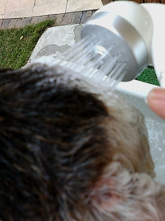 c0154793_11134476.jpg
