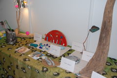 f0000593_18551070.jpg