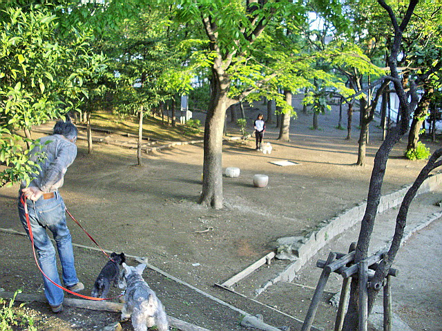 c0138198_11484563.jpg