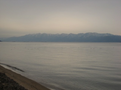 d0121300_333385.jpg