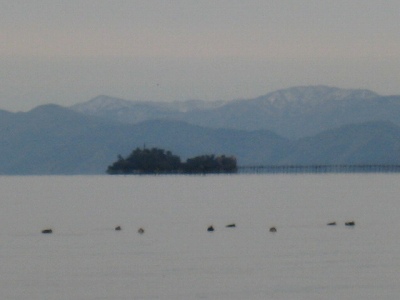 d0121300_33456.jpg