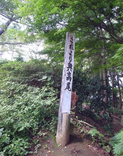 e0043700_12234588.jpg