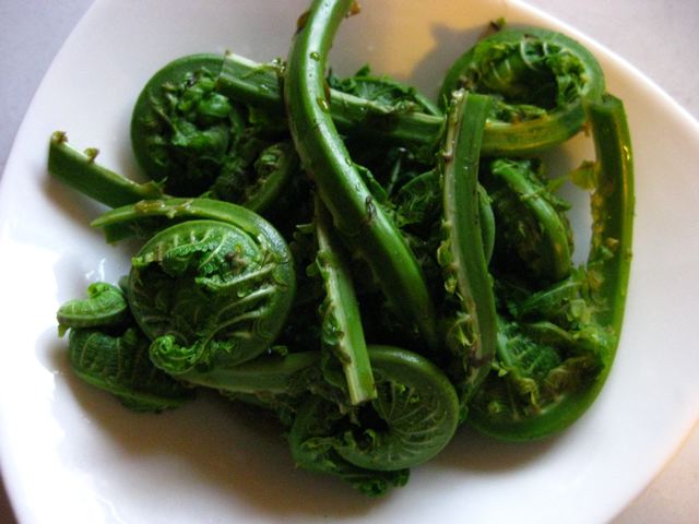 f0200501_13382269.jpg