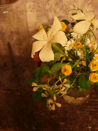 c0129702_14231111.gif