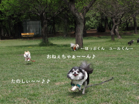 a0079803_0304832.jpg