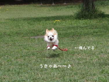 a0079803_0324976.jpg