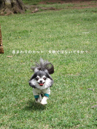 a0079803_03969.jpg