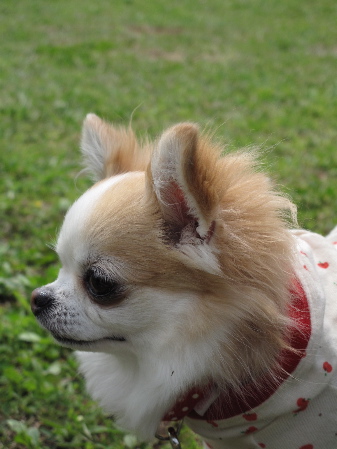 a0079803_0425349.jpg