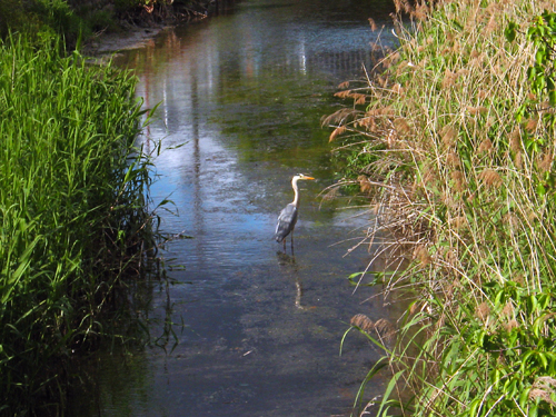 c0030705_003239.jpg