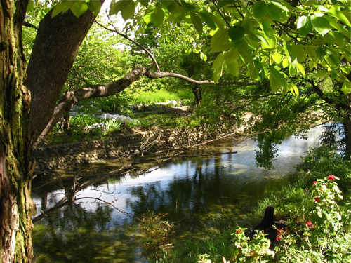 c0030705_2359334.jpg
