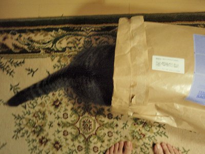 c0145016_1755343.jpg
