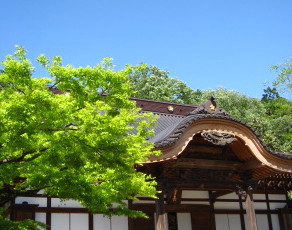 c0185516_22282859.jpg