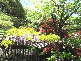 c0185516_22293633.jpg