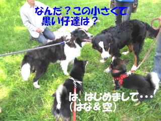 c0185516_22384815.jpg