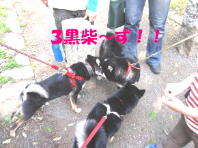 c0185516_22394061.jpg