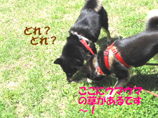 c0185516_22571644.jpg