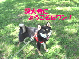 c0185516_2314468.jpg