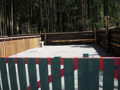 e0121418_2364237.jpg