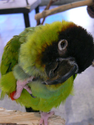 e0148120_20285814.jpg