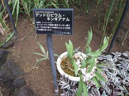 f0000521_6461751.jpg