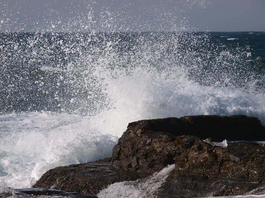 b0137723_23315497.jpg