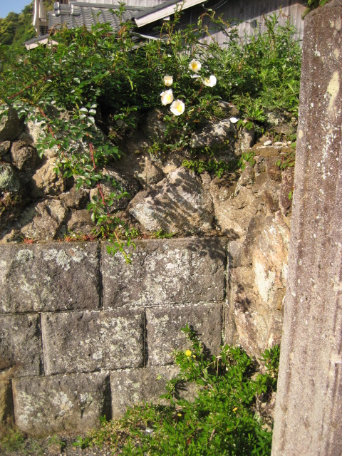 d0147727_21114410.jpg