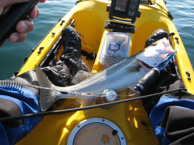 b0173629_0181353.jpg
