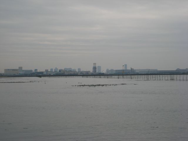 b0173629_0192668.jpg