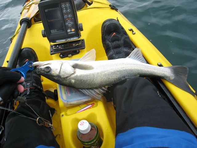 b0173629_10574725.jpg