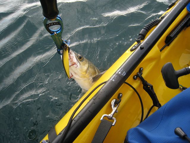 b0173629_1058628.jpg