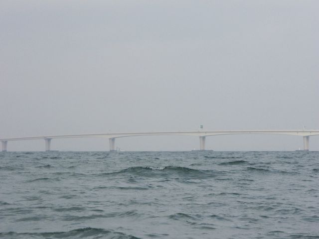 b0173629_112014.jpg
