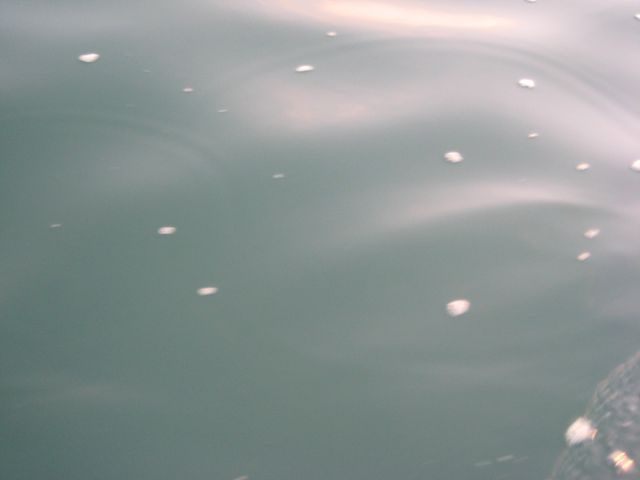 b0173629_11313353.jpg