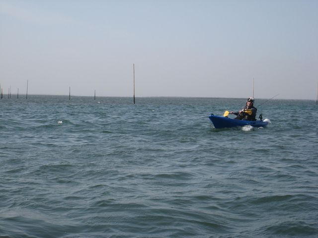 b0173629_22484271.jpg