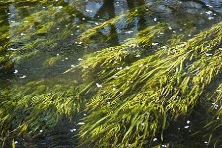 f0005330_10271883.jpg