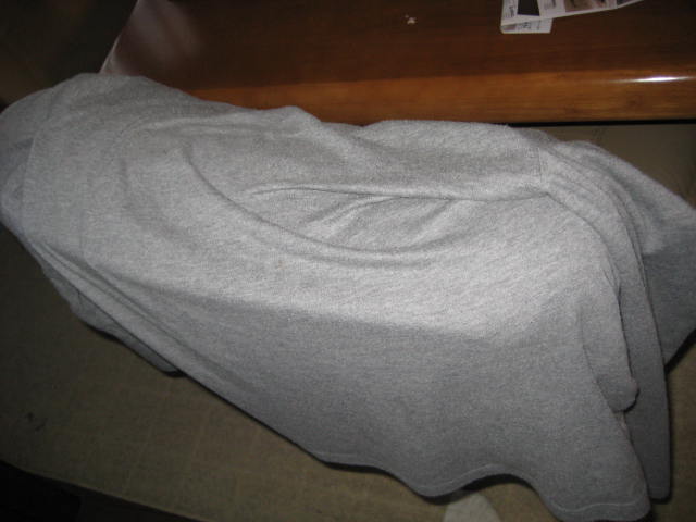 e0166032_20345179.jpg