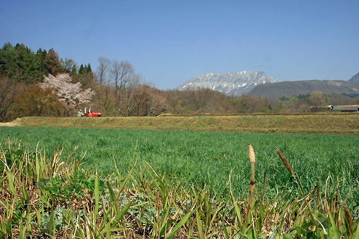 d0029333_15561418.jpg