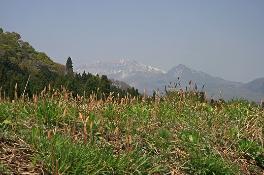 d0029333_16154683.jpg