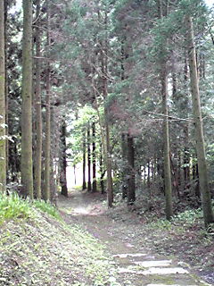 d0088735_1440810.jpg