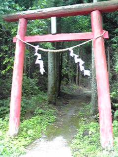 d0088735_14468100.jpg